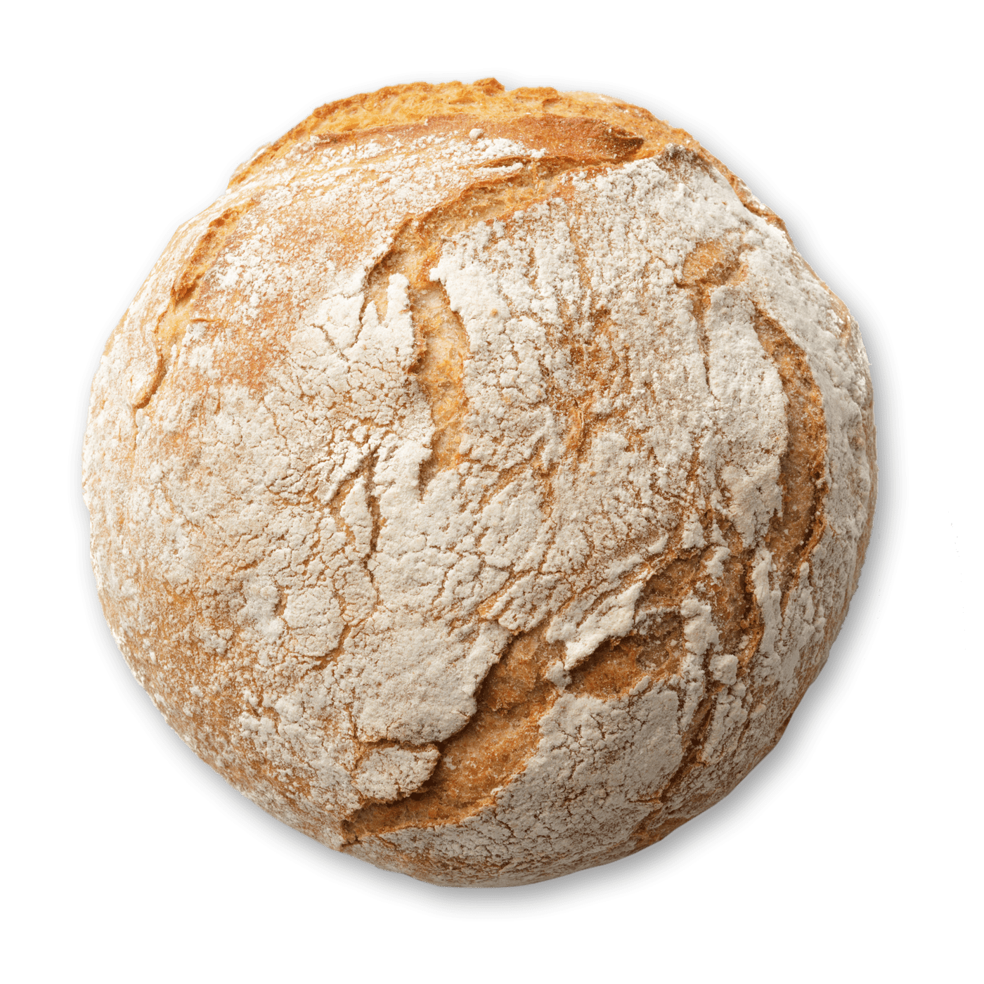 Die Brote