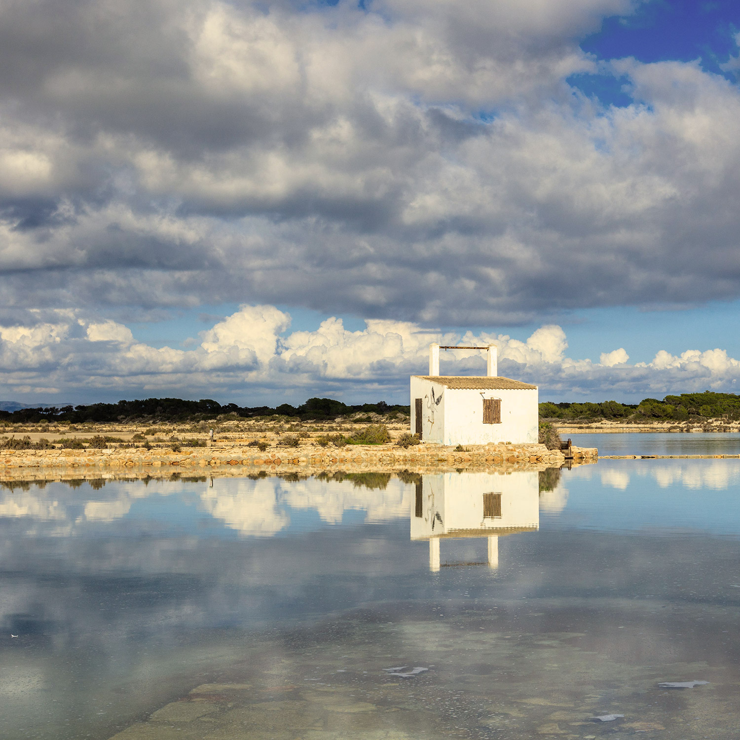 salines